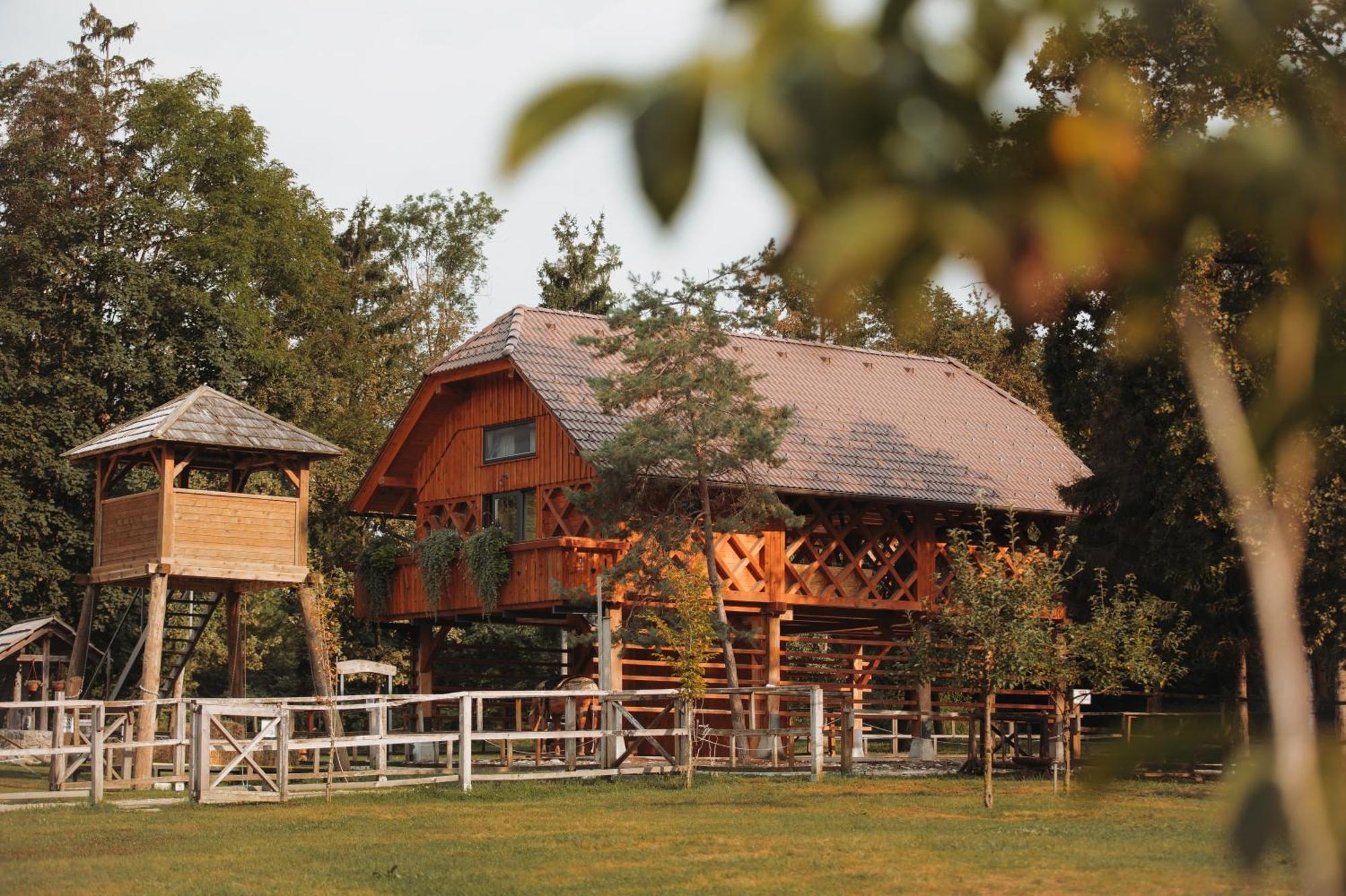 فيلا Ranc Mackadam Ranch Mackadam Tržič المظهر الخارجي الصورة